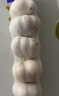 大蒜头出口品质网兜紫蒜蔬菜调料新鲜大果烧烤火锅食材 【精品网兜装】5斤装 2300g 实拍图