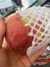 志褚 云南昭通丑苹果 冰糖心苹果 高山脆甜苹果新鲜水果 团购年货礼盒 3斤 小果【60mm-65mm】 实拍图