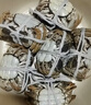 【活蟹】湖鲜阳澄大闸蟹全母2.5-2.8两8只去绳足重海鲜过年送礼年货螃蟹礼盒装源头直发 实拍图