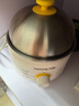 九阳（Joyoung）煮蛋器 定时自动断电 小型不锈钢多功能便携式电蒸锅 双层煮鸡蛋早餐神器GE320B 实拍图