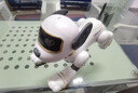 AUOOI德国品牌智能早教机器狗机器人儿童玩具男女孩1-3-7-13岁生日礼物 金色 豪华顶配生日六一元旦圣诞新年送礼物 实拍图