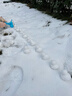 卓越优趣玩雪工具全套雪球夹子堆雪人模具超大号爱心户外打雪仗团雪球神器 大号雪球模具四件套【约20cm】 颜色随机 实拍图