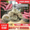 红薯圆圈粉条细粉条一个约50g火锅酸辣粉专用 红薯圆圈粉1500g*袋 实拍图