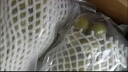 京鲜生 阳光玫瑰葡萄 青提6斤年货礼盒装 单果约10g 生鲜水果 实拍图