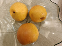 樱慕晴【JD地标认证】正宗辽宁鞍山南果梨东北特产南国梨香水梨新鲜水果 净重4.5斤 中果普装黄梨30枚左右 实拍图