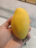 海南小台芒2026新鲜上市芒果热带果园 带箱9斤【单果70g+】 实拍图