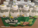 健力宝第5季系列芭乐番石榴水果饮料300mL*12瓶卡皮巴拉联名果汁饮料 实拍图