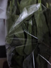 大菠菜300g 实拍图