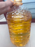 多力【张若昀同款】压榨玉米胚芽油5L 非转基因食用油 实拍图