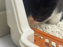 疯狂的主人猫砂盆半封闭式幼猫防外溅防漏猫沙盆猫厕所猫屎盆猫咪用品 实拍图