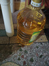 金龙鱼 食用油 非转基因 物理压榨玉米油6.18L（蕴含植物甾醇） 实拍图