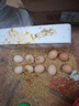京喜加 谷物喂养初产新鲜鸡蛋40g正负5g生鲜超市买菜早餐土鸡蛋草鸡蛋 10枚 实拍图