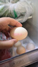 德青源柴垛儿鲜鸡蛋30枚2.58斤 无抗生素 营养早餐 家庭年货礼盒 实拍图