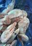 禧美海产 熟冻北极甜虾净重3斤装/盒 150/180小号规格 MSC认证 年货送礼 实拍图