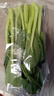 【高山鲜】宁夏菜心300g 实拍图