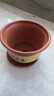 陶瓷大花盆家用落地兰花多肉盆紫砂粗砂花盆特价清仓大口径花盆 口径19cm一个盆+托盘 实拍图