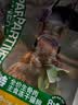 帕特 主食冻干猫粮猫零食全价生骨肉冻干幼猫成猫猫咪尝鲜 鸵鸟饼40g 实拍图