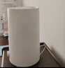 米家小米加湿器3 家用卧室大容量办公室桌面轻音空气加湿器 MJJSQ07DY礼品保湿送女生 实拍图