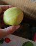 京鲜生 新疆库尔勒香梨 净重5斤 一级 单果100g-120g  生鲜水果 实拍图