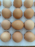 京鲜生 无抗保洁鲜鸡蛋30枚/盒 健康轻食 礼盒送礼 1.5kg/盒 源头直发 实拍图