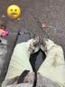 迪卡侬男女登山鞋户外防水防滑耐磨春秋中帮徒步鞋 MH100中帮 女款-松灰色 39 实拍图