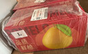 京鲜生 福建红心蜜柚 4粒大果 净重10-12斤 生鲜柚子水果年货礼盒 实拍图