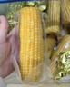 十月稻田 黄甜糯玉米 8根 3.52斤 真空包装 东北粘玉米棒 低脂早餐 实拍图