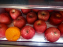 京鲜生 烟台红富士苹果 净重10斤  单果160g以上 水果礼盒 实拍图