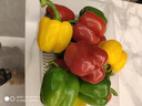 京地达山东新鲜五彩椒净重3斤 灯笼甜椒 新鲜蔬菜 可生吃 源头直发 包邮 实拍图