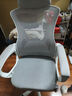 锦汐 电脑椅家用办公椅子靠背人体工学椅学习转椅老板座椅游戏电竞椅 【可后躺】白框灰网 实拍图