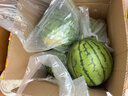 京鲜生 特小凤黄肉西瓜 2粒装 净重4-6斤 单果2-3斤 生鲜水果 实拍图