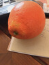 玖原农珍 赣南脐橙新鲜橙子含箱10斤净重9斤优选果150-300g 年货水果礼盒 实拍图