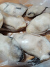 海鲜世家韩国冷冻生蚝肉净重430g 17-27只牡蛎肉火锅烧烤食材海鲜生鲜年货 实拍图