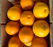 京鲜生 冰糖橙/橙子 5斤装 单果130g-170g 生鲜水果年货礼盒 实拍图