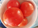 童年味道西红柿约1kg 实拍图