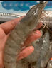 PHUKEY SEA厄瓜多尔冻南美白对虾 只只分离 海鲜水产 3斤 (76-90只) 实拍图