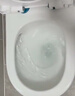 松鲸 卫浴家用马桶坐便器大冲力超漩虹吸式静音连体座便器小户型马桶 直冲型【大冲力】300坑距 实拍图