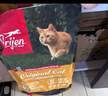 Orijen渴望猫粮 成猫幼猫粮 全价通用无谷原味鸡肉进口5.4kg效期26/7 实拍图