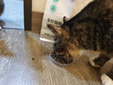 网易严选全价猫粮宠物主粮成幼猫三文鱼 深海鱼虾味1.8kg 【宠物金选】 实拍图