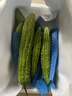 新鲜现摘绿色苦瓜当季凉瓜清脆爽口清热降火新鲜蔬菜生鲜 苦瓜 4斤 带箱 实拍图