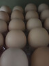 京鲜生【每日鲜蛋】无抗谷物鸡蛋30枚 3.18斤 当日产蛋 当日发货 实拍图