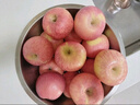 京鲜生 陕西洛川苹果红富士 净重8斤 单果180g-220g 生鲜水果 实拍图