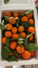 【产地直发】正宗广西金秋砂糖橘棉橘水果新鲜当地砂糖橘橘子新鲜 砂糖橘带箱5斤 实拍图