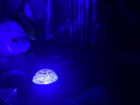 爆款北极光投影灯台灯星空灯卧室浪漫情调房间顶极光氛围暖光灯睡眠礼物男女实用直播卧室投影灯 极光16色炫彩呼吸投影氛围灯（基础非遥控款） 实拍图