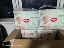 好奇（Huggies）小森林拉拉裤XL32+2片(12-17kg)尿不湿心钻【透氧顶配更低敏】 实拍图