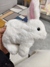 雅斯妮儿童玩具仿真动物电动宠物小兔子玩偶会动会叫3-6岁新年生日礼物 实拍图