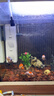 森森 小鲤鱼缸过滤器净水循环三合一内置水族箱过滤系统XQP-500F 6W 实拍图