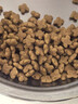 皇家狗粮 老年狗粮  小型犬粮SPR27全价狗粮8岁以上 2KG【宠物金选】 实拍图