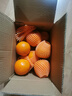 京鲜生 湖北秭归纽荷尔脐橙4.5斤单果150g+应季水果 源头直发包邮 实拍图