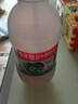 李子园甜牛奶乳饮料原味饮品225ml*20瓶学生儿童奶营养早餐奶整箱黑五 实拍图